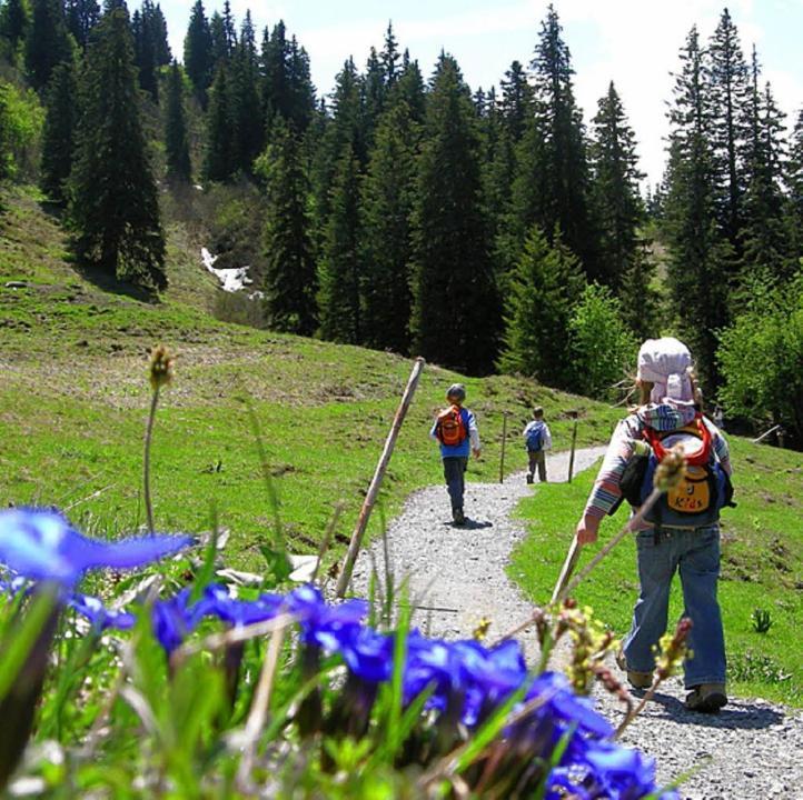 Diese Einfache Unterkunft- Bergheimat Ist Nur Fuer Backpacker- Rucksacktouristen Und Radfahrer - Huettenfeeling Im Backpackerhoues- Ganz Einfach - Ganz Unkompliziert - Ganz Relaxd Villa Linthal Esterno foto